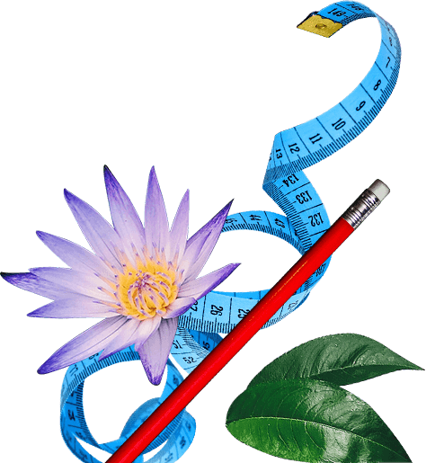 background image of flower, ruler and pencil